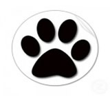 Pet Shops em Cabo Frio